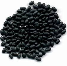 Feijão é proteína ou carboidrato